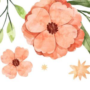 Meet your Posher, Yvette